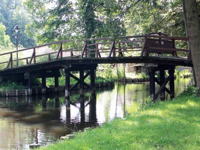 Eine Brücke im Wald
